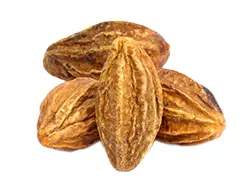 Hezi Fruit