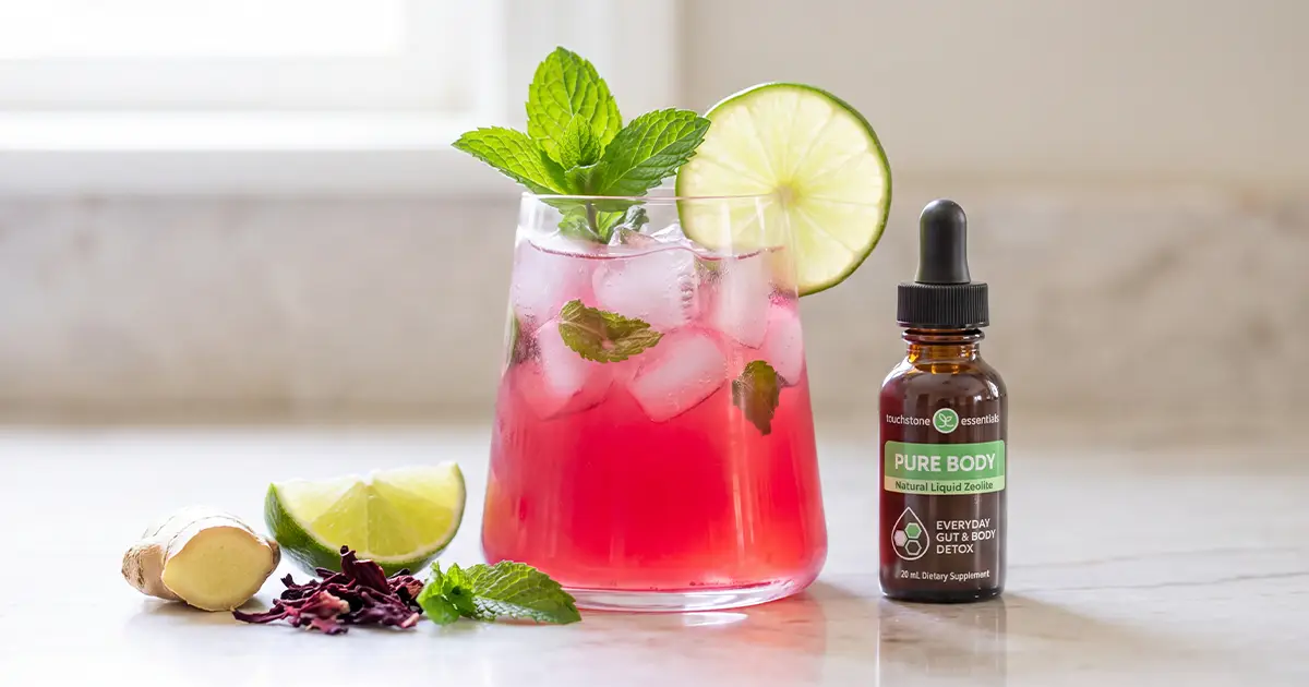 Hibiscus Mojito Detox Mocktail Hibiscus Mojito Detox Mocktail